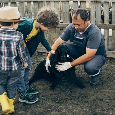 Androbuntu Proxy节点 | 3月16日19.9M/S|免费Singbox节点/SSR节点/Clash节点/V2ray节点/Shadowrocket节点/Trojan节点节点推荐，在线Clash机场梯子购买推荐